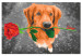 Cuadro para pintar por números Dog With Rose  132315 additionalThumb 6