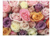 Fotomural decorativo Colores rosa pastel 60315 additionalThumb 1