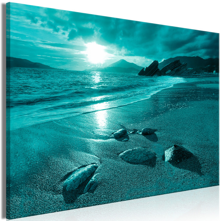 CUADRO DECORATIVO PARED ANIMALES PLAYA 50X50CM