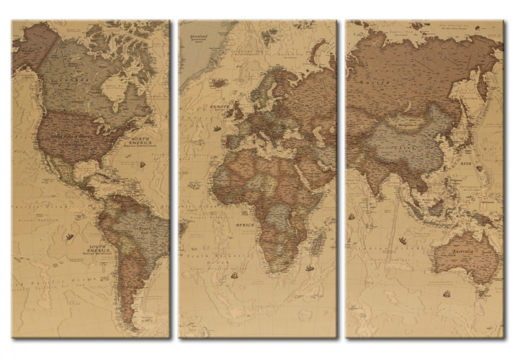 Cuadro decorativo Stylish World Map 95945