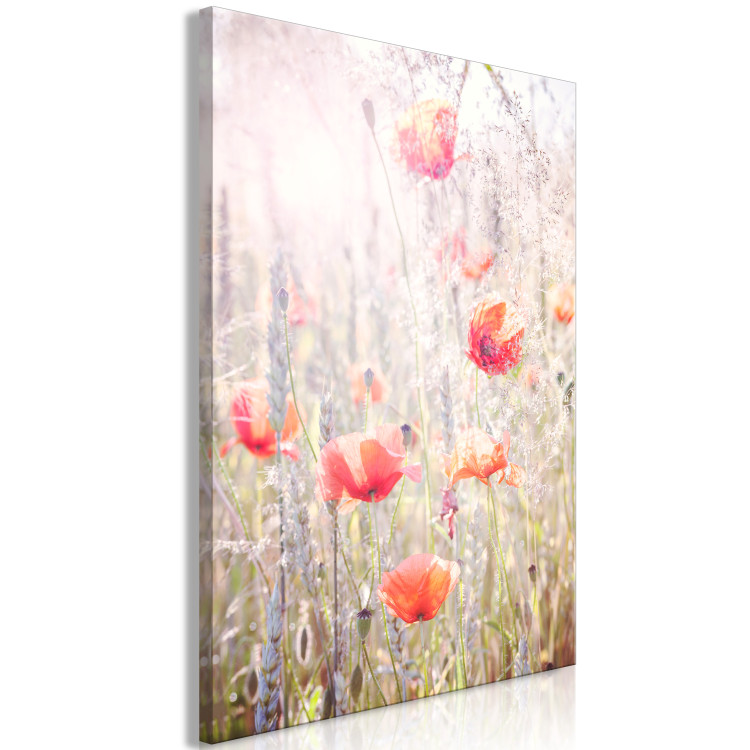 Cuadro decorativo Colores de primavera (1 parte) - amapolas en un campo lleno de flores 116385 additionalImage 2