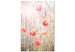 Cuadro decorativo Colores de primavera (1 parte) - amapolas en un campo lleno de flores 116385