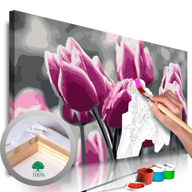 Cuadro para pintar por números Campo de tulipanes 107506