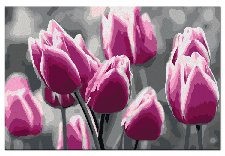 Cuadro para pintar por números Campo de tulipanes 107506 additionalImage 6