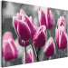 Cuadro para pintar por números Campo de tulipanes 107506 additionalThumb 5