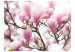 Fotomural a medida Ramo de magnolia floreciente 60416 additionalThumb 1