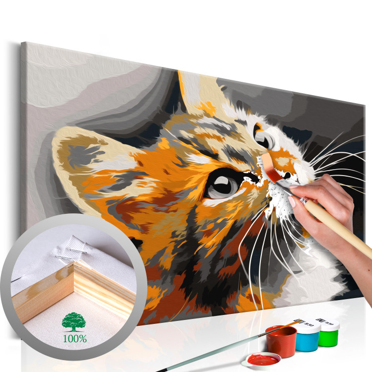 Dibujo para pintar con números Gato naranja - Kits de pintura para adultos  - Pintar por números