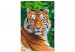 Cuadro para pintar con números Tiger in Green 138436 additionalThumb 3