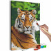 Cuadro para pintar con números Tiger in Green 138436 additionalThumb 5