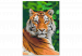 Cuadro para pintar con números Tiger in Green 138436 additionalThumb 7
