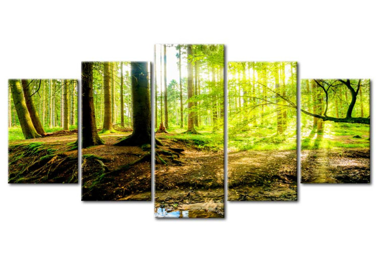 Impresión en el vidrio acrílico Poetry of a Forest [Glass] 93946 additionalImage 2