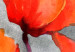 Cuadro moderno Poppies (Watercolour) 97976 additionalThumb 5