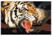  Dibujo para pintar con números Un tigre rugiendo 107317 additionalThumb 7
