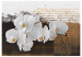 Fotomural Pensamientos sentimentales - orquídeas en tema moderno con texto 60237 additionalThumb 1