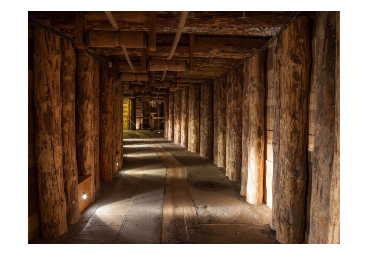 Fotomural Wooden passage 59787 additionalImage 1
