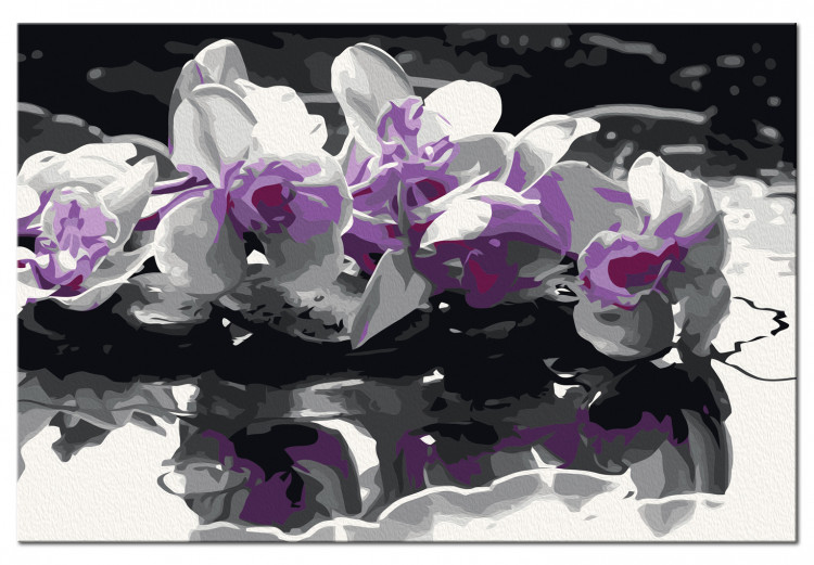 Cuadro numerado para pintar Orquídea morada (fondo negro y reflejo en el agua) 107508 additionalImage 6