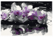 Cuadro numerado para pintar Orquídea morada (fondo negro y reflejo en el agua) 107508 additionalThumb 7