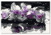 Cuadro numerado para pintar Orquídea morada (fondo negro y reflejo en el agua) 107508 additionalThumb 6