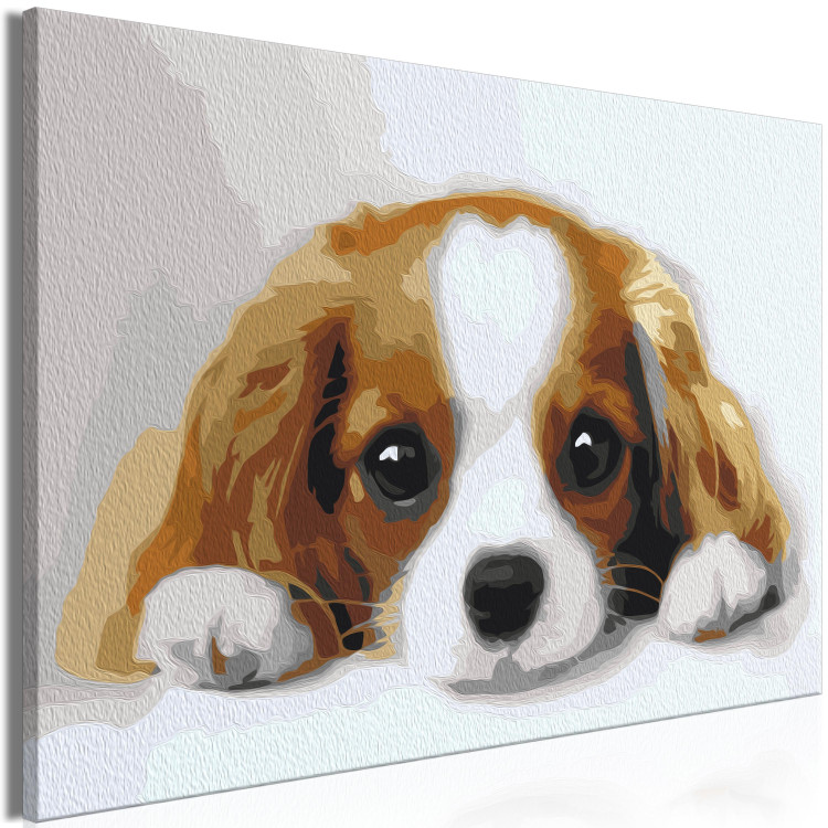 Cuadro para pintar por números Sweet Puppy 142408 additionalImage 7