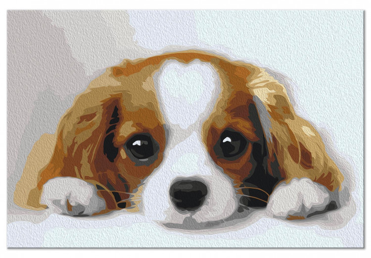 Cuadro para pintar por números Sweet Puppy 142408 additionalImage 4