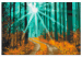  Dibujo para pintar con números Autumn Forest  138148 additionalThumb 3