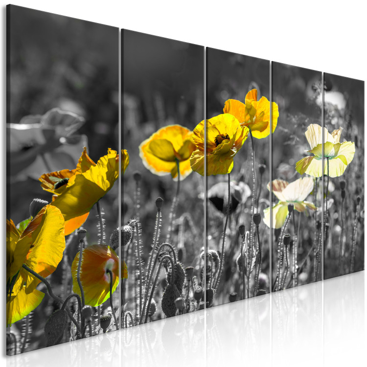 Cuadro Amapolas amarillas - foto de 5 partes con flores amarillas en el prado 123058 additionalImage 2