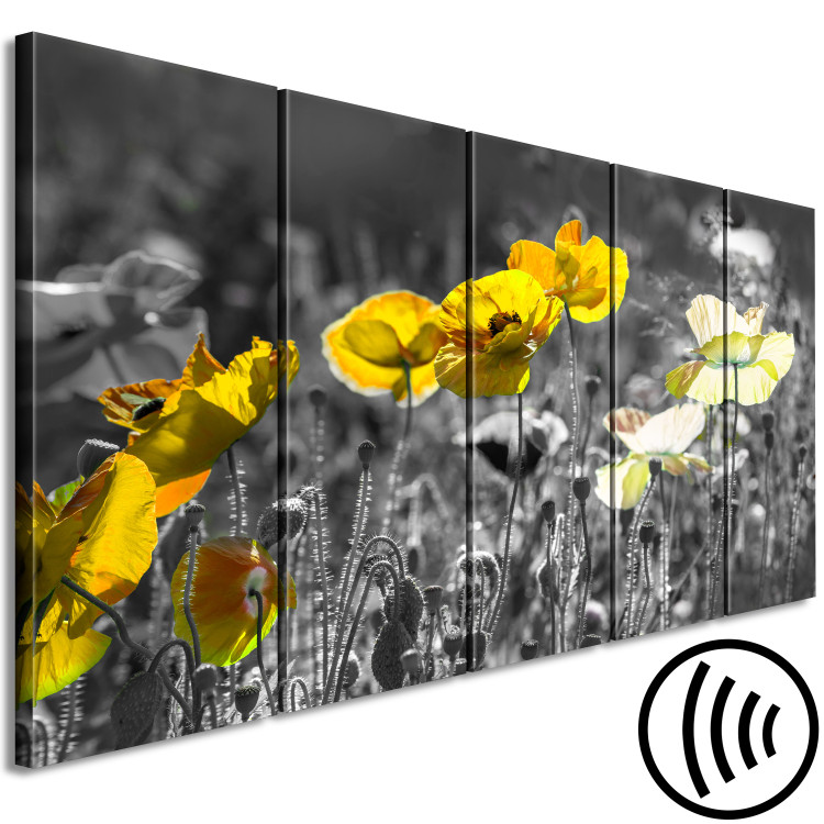Cuadro Amapolas amarillas - foto de 5 partes con flores amarillas en el prado 123058 additionalImage 6