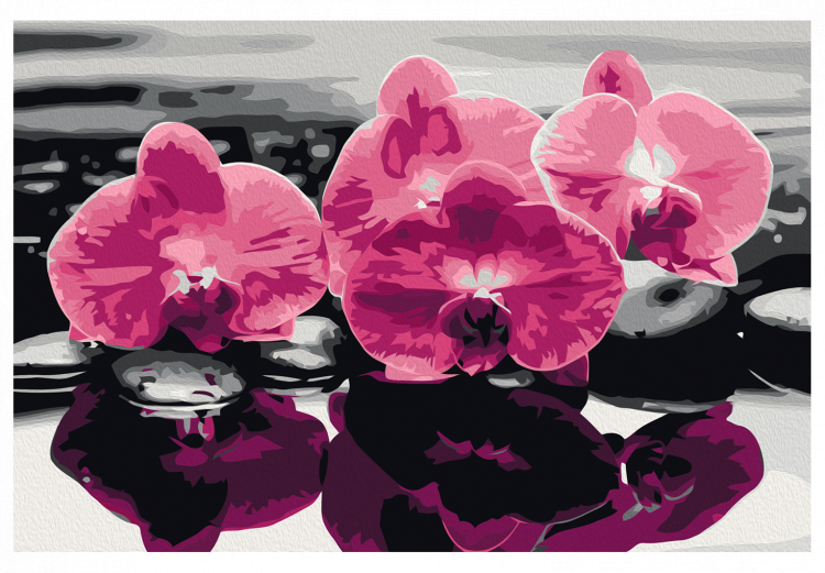 Cuadro para pintar por números Tres orquídeas 107319 additionalImage 7