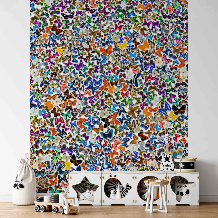 Fotomural decorativo Naturaleza multicolor - fondo lleno de mariposas para niños 61289 additionalImage 4