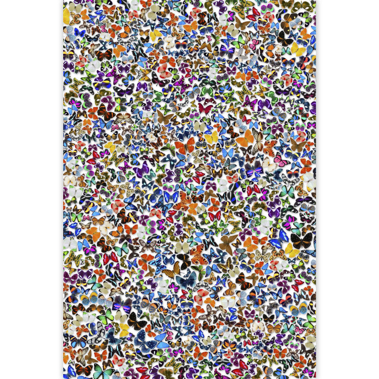 Fotomural decorativo Naturaleza multicolor - fondo lleno de mariposas para niños 61289 additionalImage 3